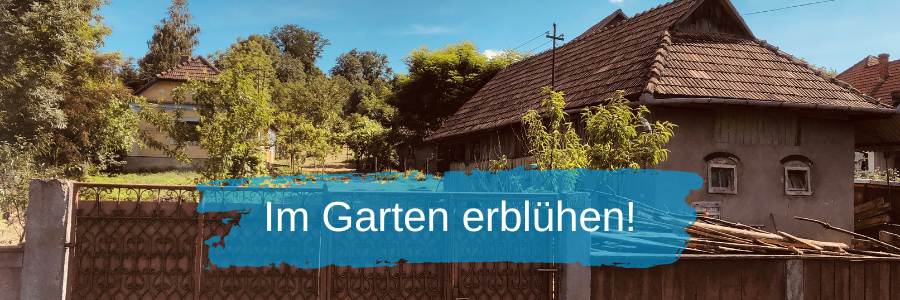 Im Garten erblühen!